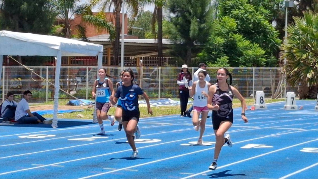 Buscarán su pase a la Olimpiada Nacional 1 700 deportistas