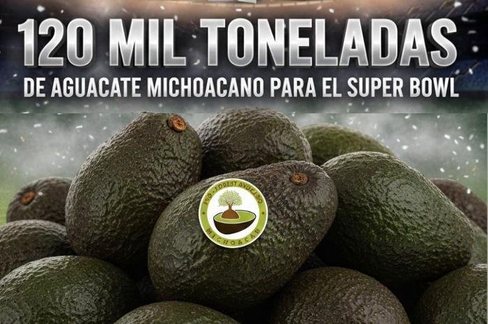 Michoacán enviará 120 mil toneladas de aguacate a EUA para Super Bowl