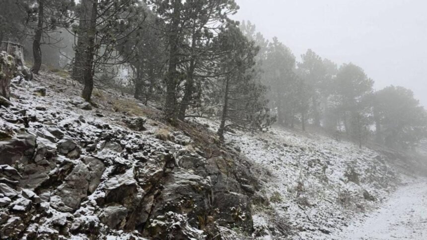 Nieve cubre zonas altas del municipio de Galeana, Nuevo León