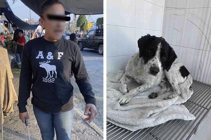 Condenan en Zitácuaro a mujer por atacar a perro con machete