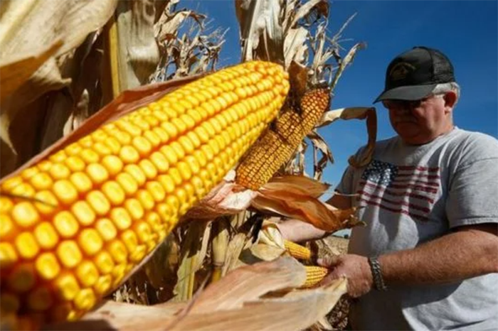 EUA destinará 40 mdd a centro de mejoramiento de cultivos en México