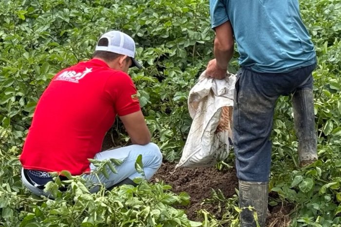 Estados Unidos acusa a tres mexicanos de explotar compatriotas en granjas agrícolas