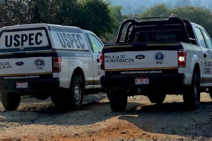 Fiscalía pide identificar a mujer presuntamente muerta por jauría en Morelia