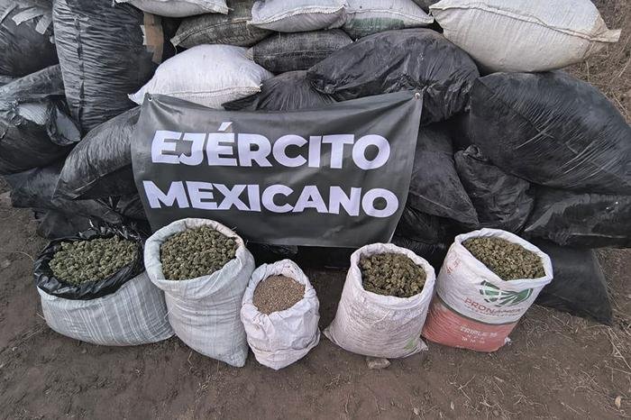 Incautan más de una tonelada de presunta marihuana en Turicato, Michoacán