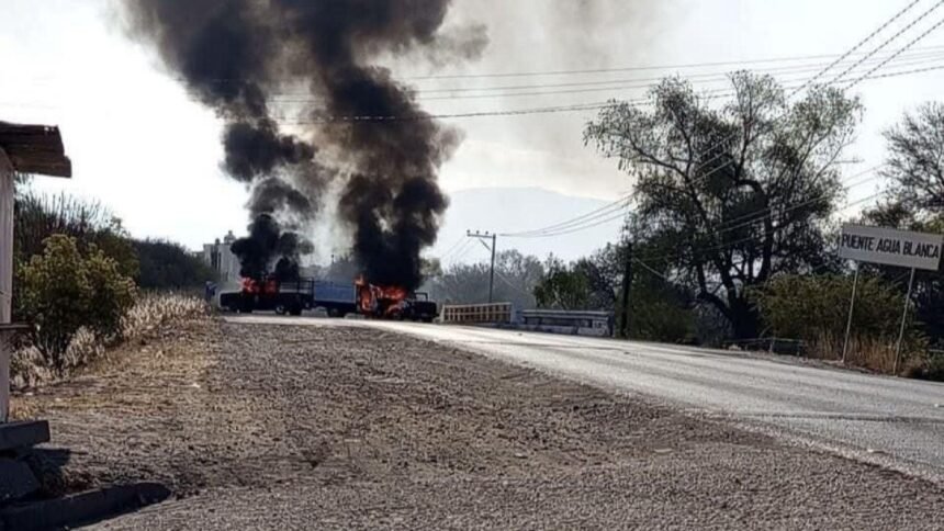 Jalisco: aseguradoras reportan 631 vehículos robados tras caída de 'El Mencho'