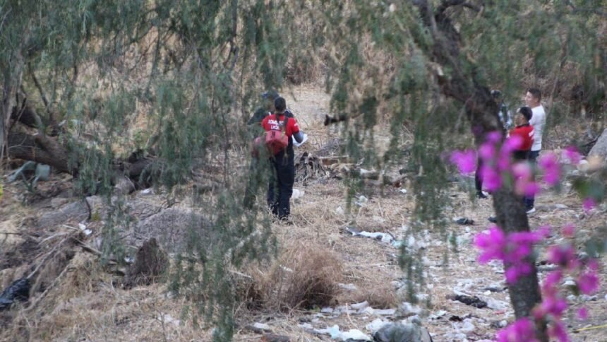 Joven asesinada en zona cerril de la colonia San Martín de Porres