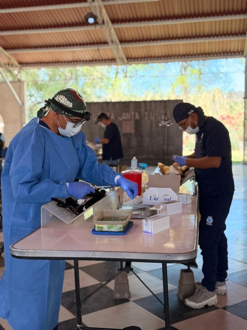 SSG concluye con éxito jornada de esterilización animal en Jerécuaro, Guanajuato