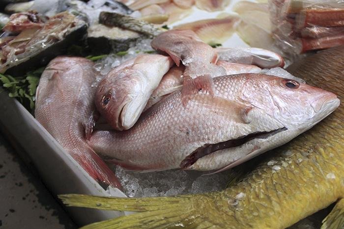 SSM emite recomendaciones sobre manejo y descongelación segura de mariscos