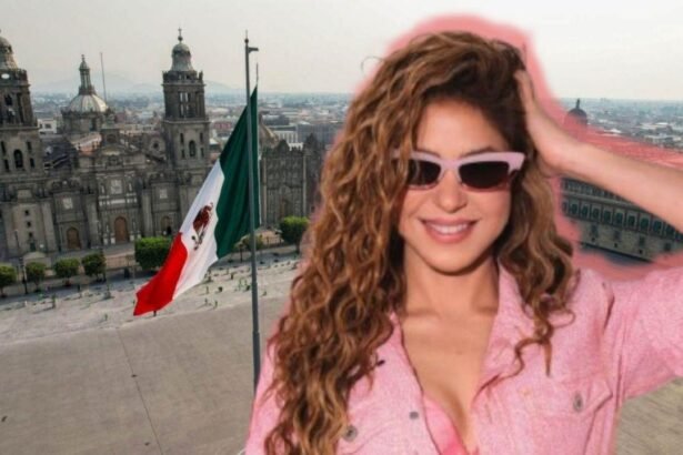 Shakira en el Zócalo CDMX: qué llevar y qué no al concierto