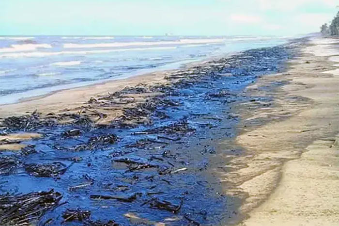 Comunidades y activistas denuncian vertidos de petróleo en playas de Veracruz