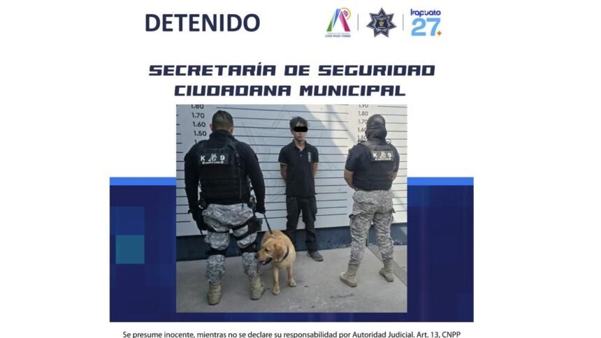 Elementos caninos de la Policía de Irapuato detienen a un individuo con presunta droga