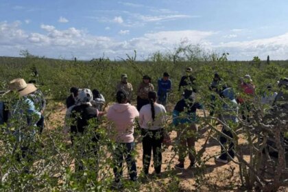 En Comondú, Baja California Sur, Madres Buscadoras localizan cinco fosas clandestinas