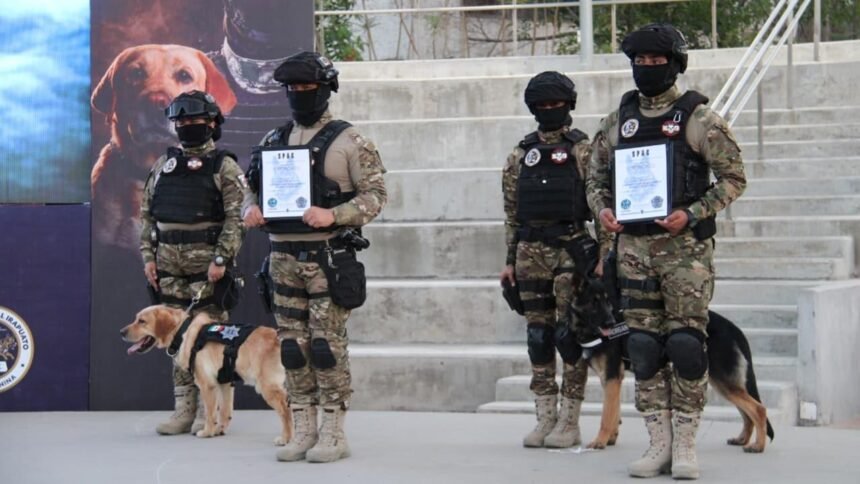 Fortalece Irapuato su plan de seguridad con nuevos ejemplares caninos y certificación de manejadores de la Unidad K9