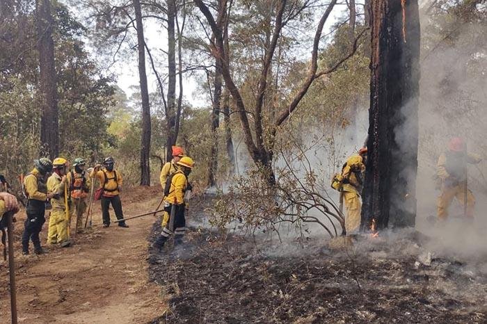 Incendio forestal en San José del Rincón, Zinapécuaro, afecta 76 hectáreas