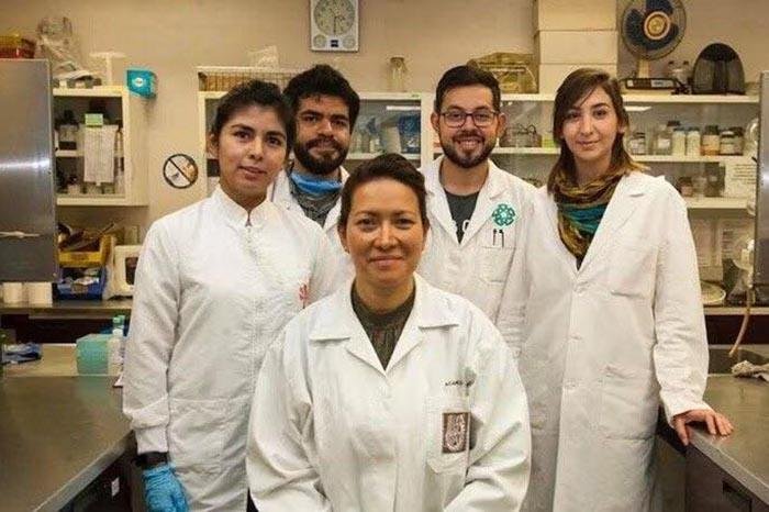 Investigadora de Ciudad de México elimina el VPH con terapia fotodinámica