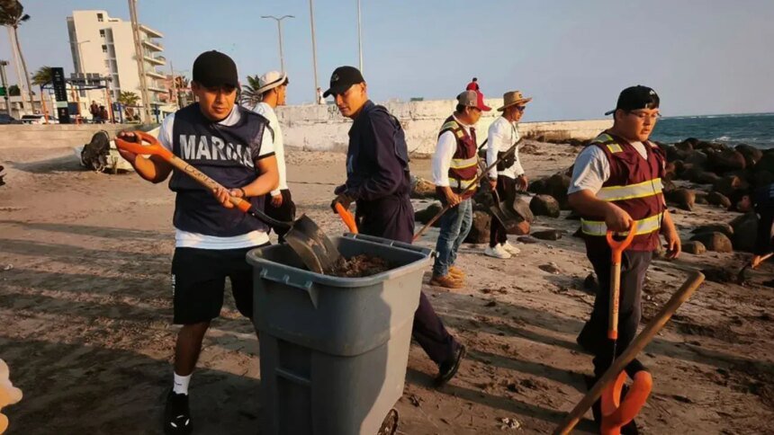 Veracruz y Tabasco: Semarnat reporta 85% de limpieza del derrame