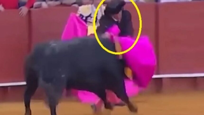 Banderillero enfrenta al toro y sufre un inesperado accidente en el ruedo Contacto