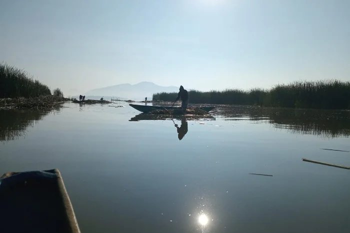 Lago de Pátzcuaro recupera su vitalidad con el hallazgo de manantiales. Contacto