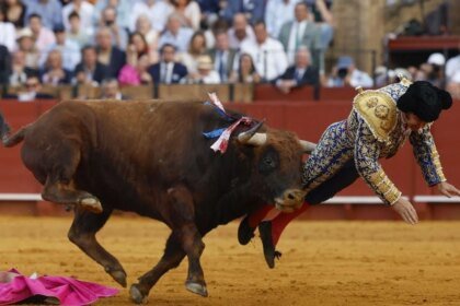 pronóstico grave tras la herida Contacto