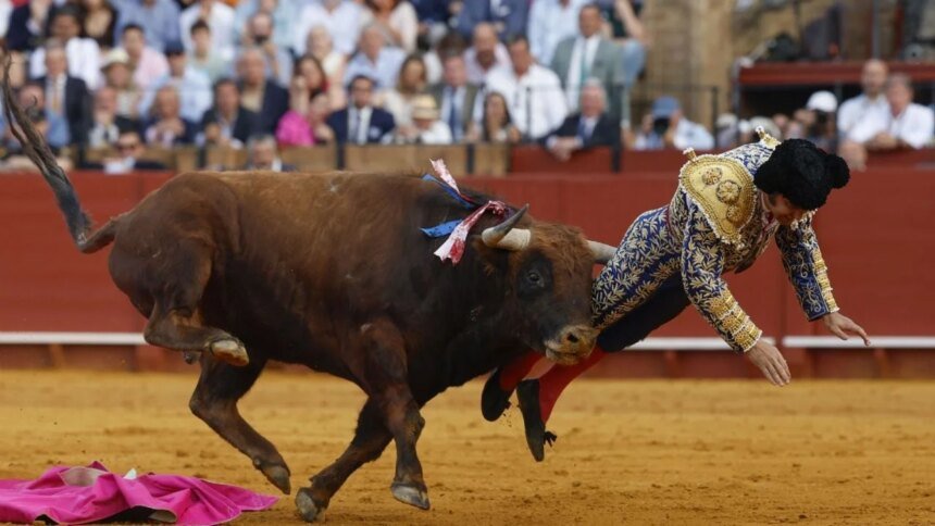 pronóstico grave tras la herida Contacto