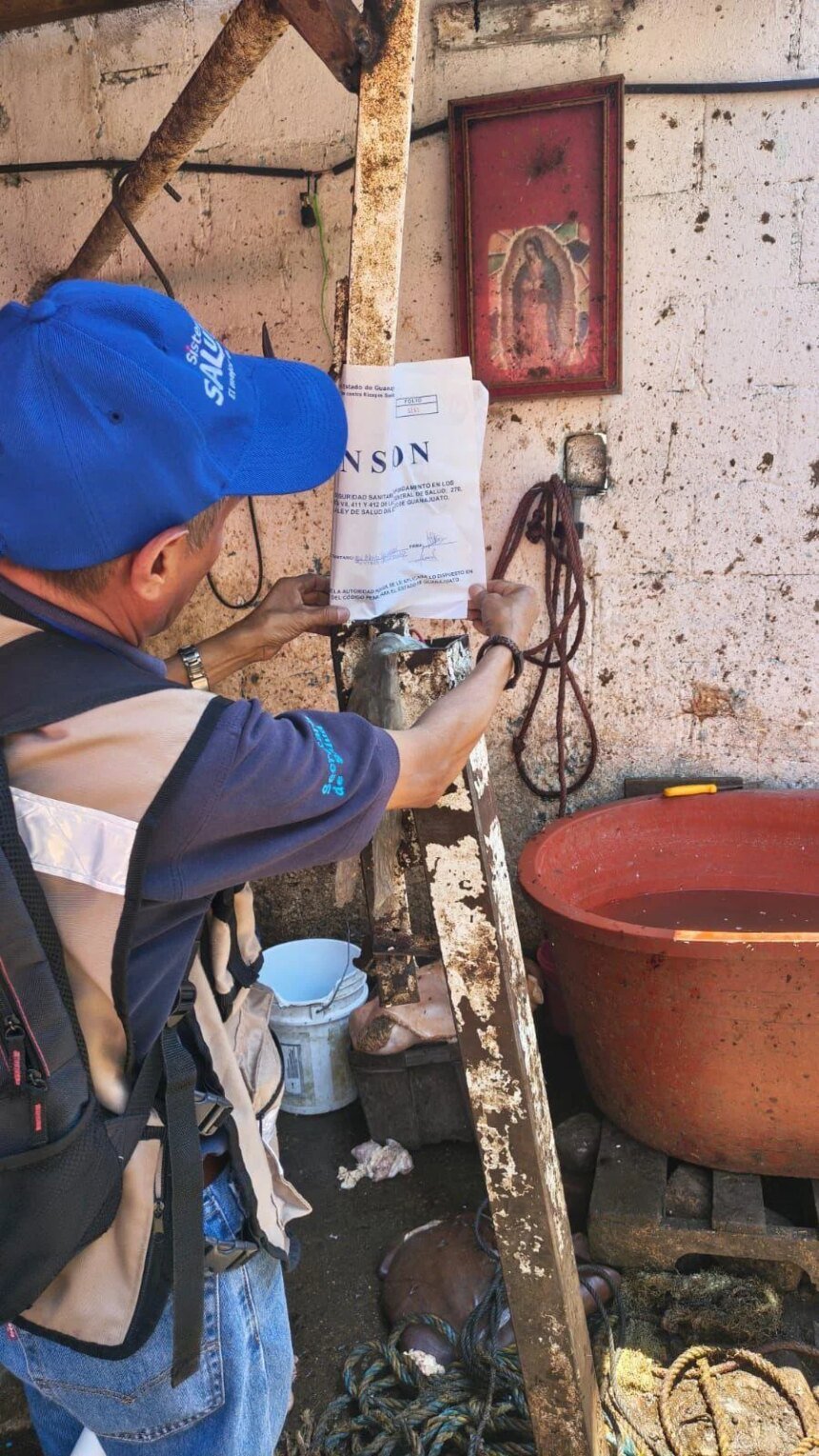 SSG suspende matadero en Pénjamo por riesgos sanitarios. Contacto