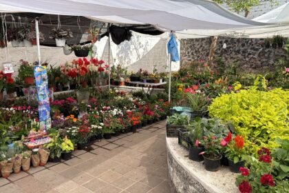 Celaya, Gto.: Feria del Árbol y la Flor hasta el 31 de mayo