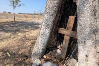 Guanajuato: Secuelas de un ataque en la vida de una madre y su hijo