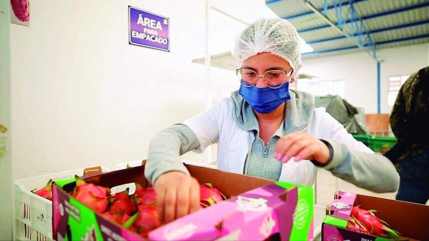 León, Gto.: Cómo beneficia a la economía local el acuerdo México-UE