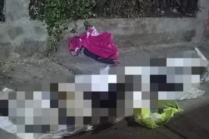 Celaya, Gto.: Denuncian la muerte de 6 perritos en la Ejidal