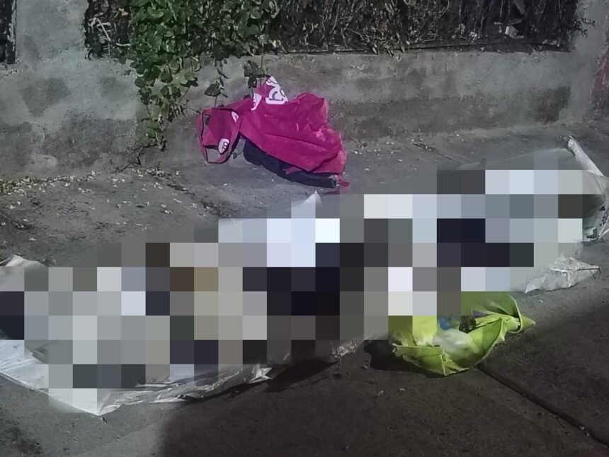 Celaya, Gto.: Denuncian la muerte de 6 perritos en la Ejidal