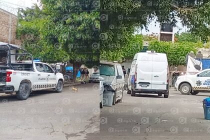 Celaya, Gto.: Hombre pierde la vida en ataque en Los Olivos