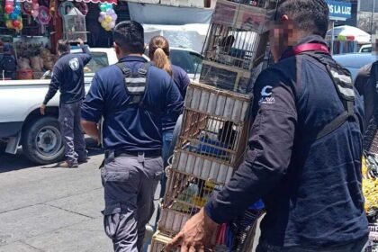 Celaya, Gto.: Lucha contra la venta ilegal de mascotas y fauna