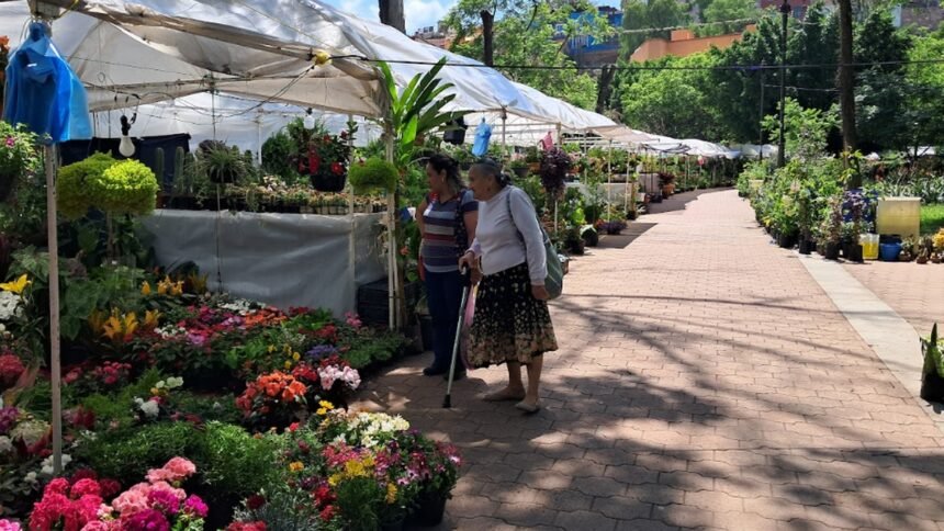 Guanajuato Capital: Costos de permisos para floricultores locales