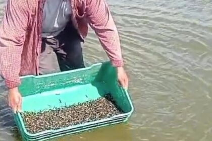 Guanajuato Capital: Impacto ambiental tras hallazgo de peces en la Presa de la Purísima