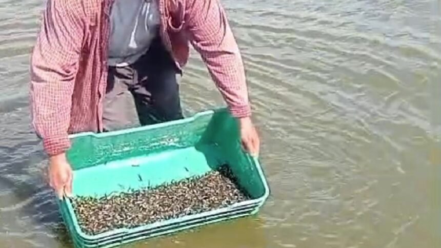 Guanajuato Capital: Impacto ambiental tras hallazgo de peces en la Presa de la Purísima