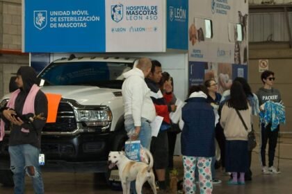 León, Gto.: 210 esterilizaciones gratuitas para mascotas en comunidades