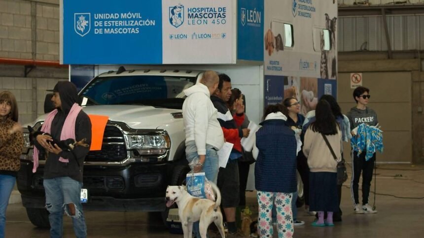 León, Gto.: 210 esterilizaciones gratuitas para mascotas en comunidades