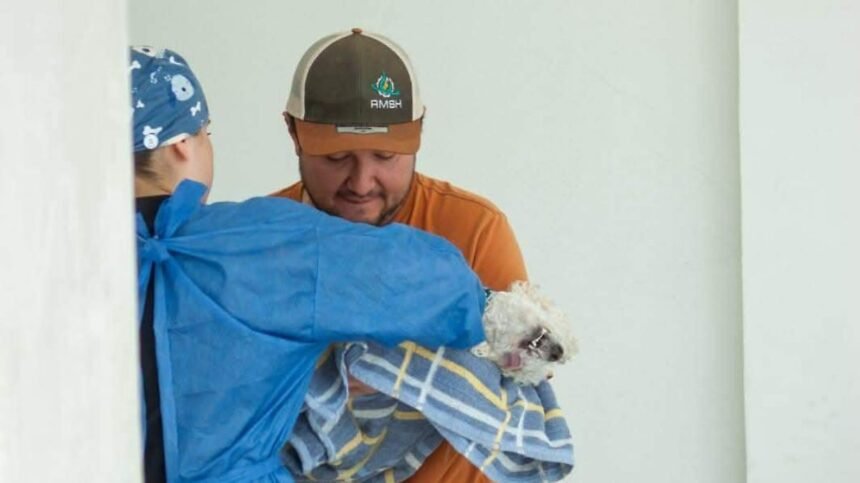 León, Gto.: 315 esterilizaciones gratuitas para mascotas, conoce sedes y fechas