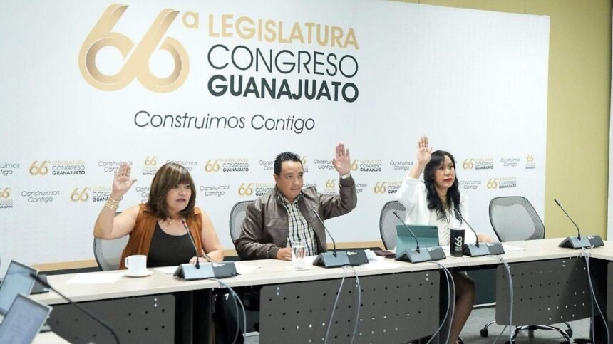 León, Gto.: Avance en adopción plena y su impacto en familias