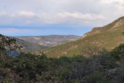 León, Gto. brilla en el top 10 nacional de reciclaje de INEGI