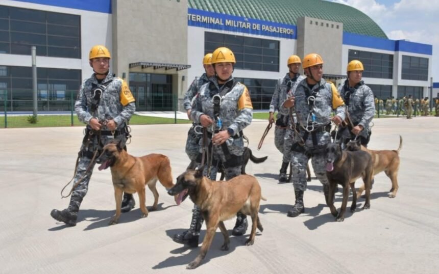 México despliega 261 militares y 18 perros de rescate en Venezuela