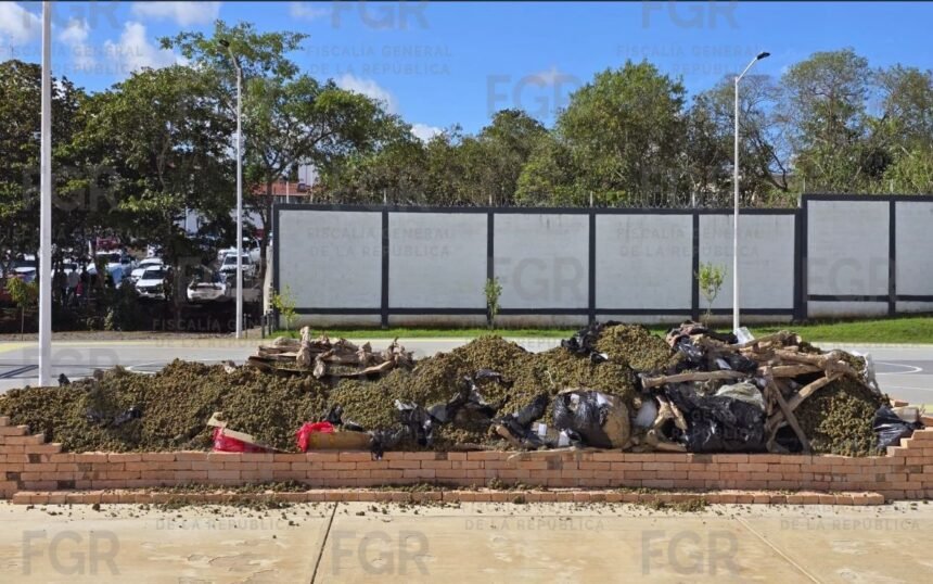 México: FGR destruye más de 940 kilos de droga en Nayarit