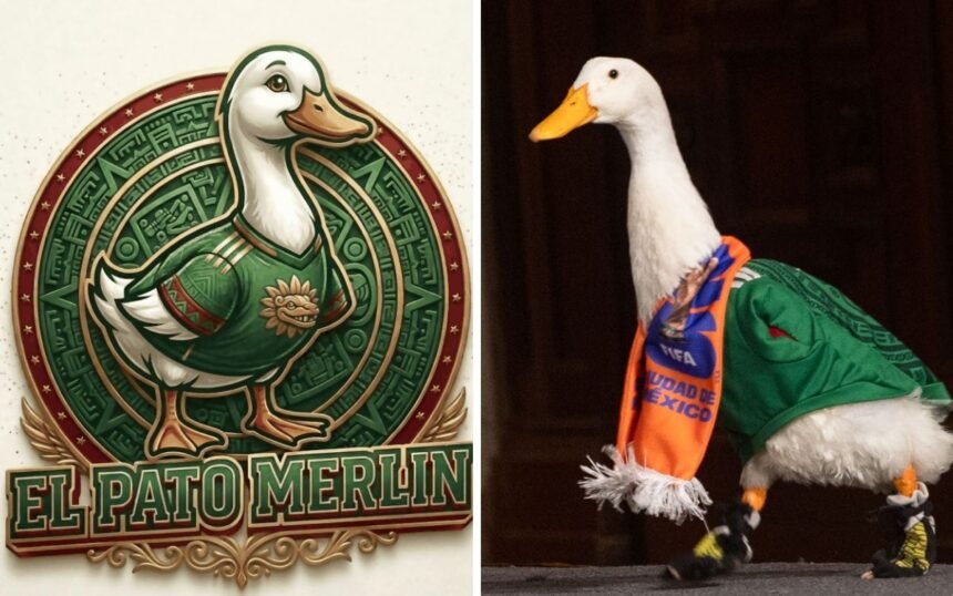México: La familia del Pato Merlín lucha por su marca registrada