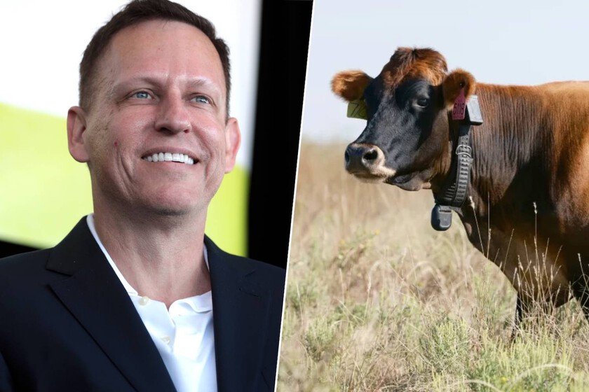 Peter Thiel propone sustituir el alambre de espino por suscripciones