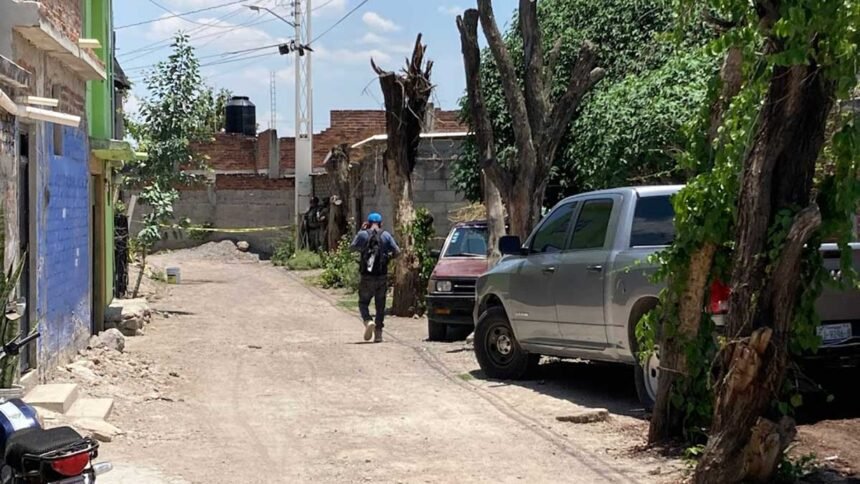 Salamanca, Gto.: Datos sobre víctimas de homicidio y su impacto comunitario