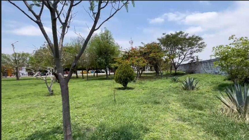 Salamanca: Vecinos de Los Virreyes protegen áreas verdes y bachillerato