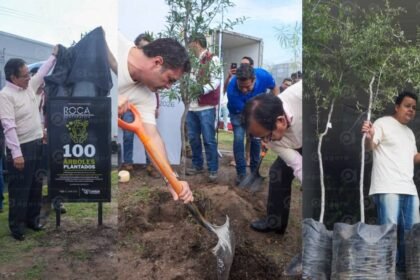 Celaya, Gto.: Arranca programa "Adopta un Camellón" con 100 nuevos árboles
