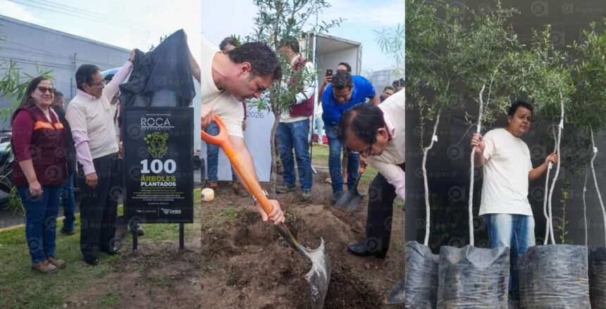 Celaya, Gto.: Arranca programa "Adopta un Camellón" con 100 nuevos árboles