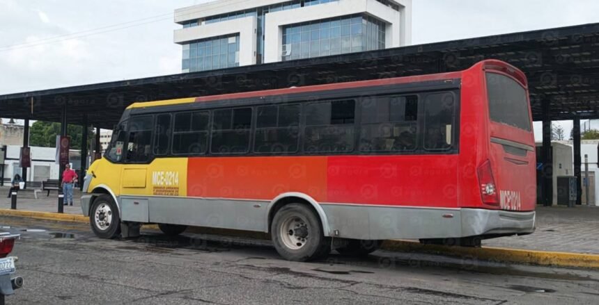 Celaya, Gto.: Ómnibus presenta nuevo amparo por retiro de unidades
