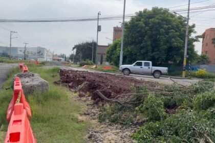 Celaya, Gto.: Protesta por tala de árboles afecta a nuestra comunidad